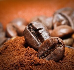 robusta lampung
