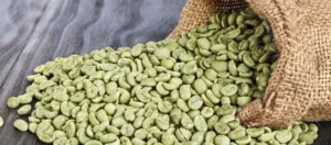 Kopi Biji Mentah Green Bean
