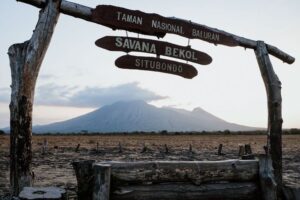 Tempat Wisata yang Tersembunyi di Banyuwangi Taman Nasional Baluran