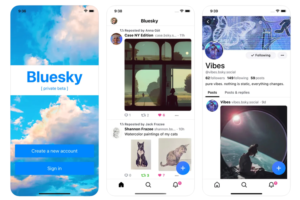 Tampilan Aplikasi Bluesky