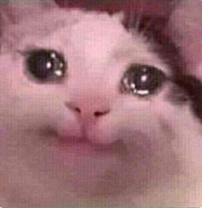 kucing nangis